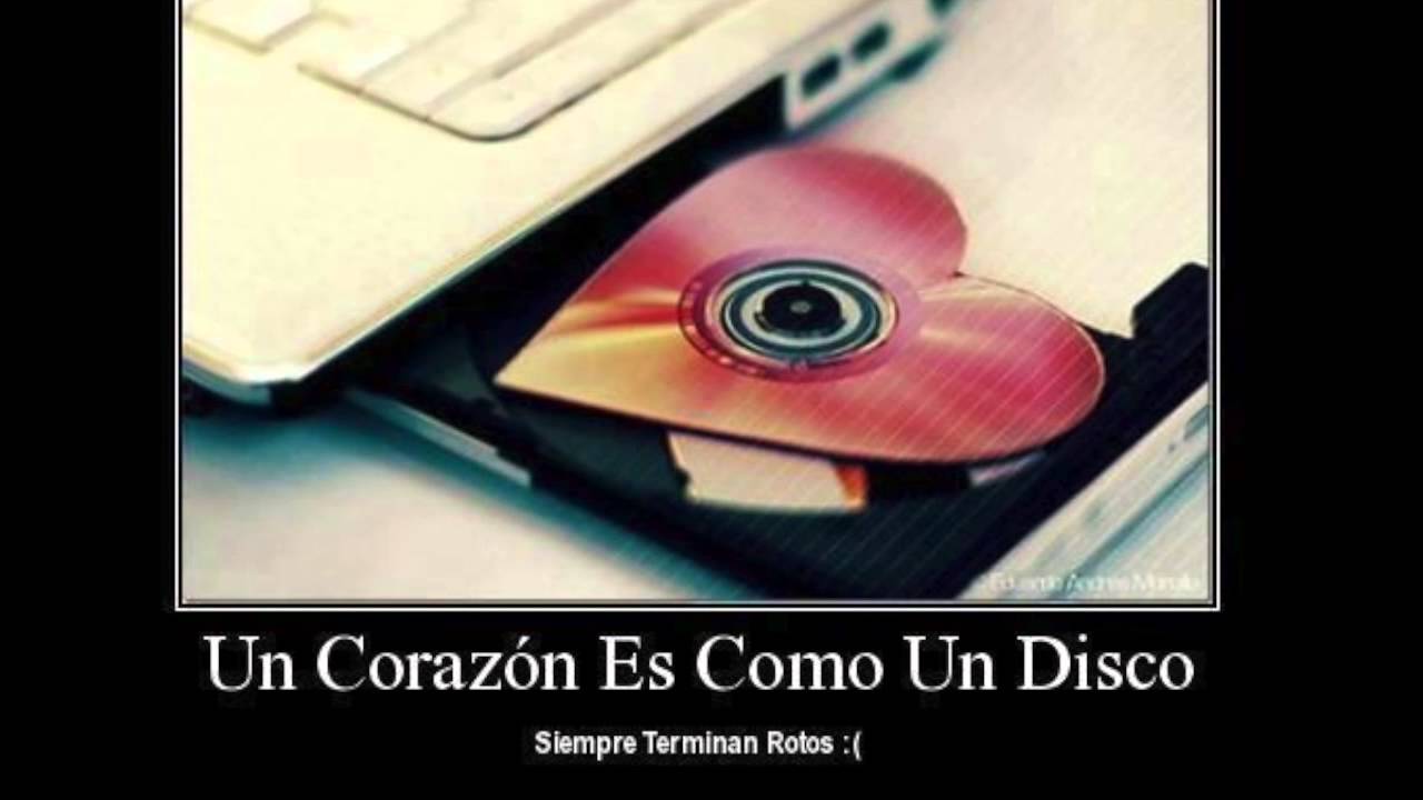La inteligencia y las frases de van de la mano