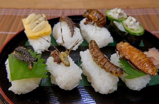 provincia_2015614_1166288560