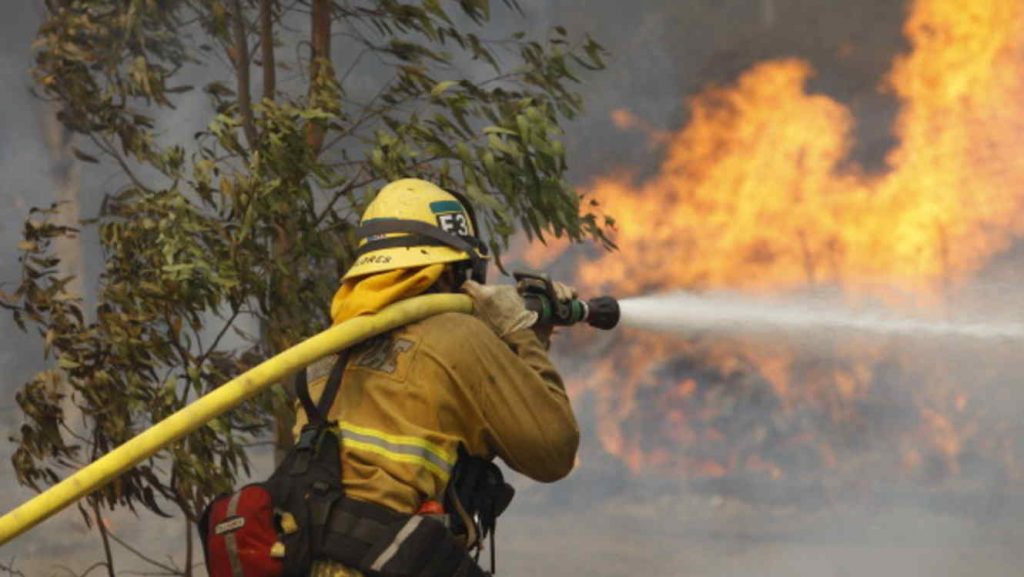 Incendios forestales
