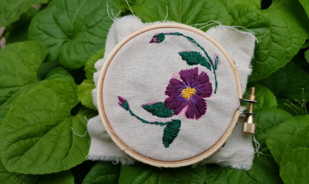 Violetas-para-Violeta-e1538146259818-1024x609