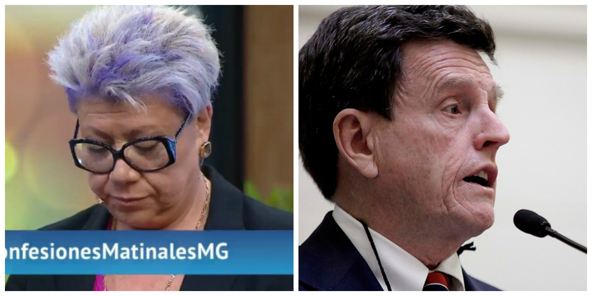 collage maldonado larrain