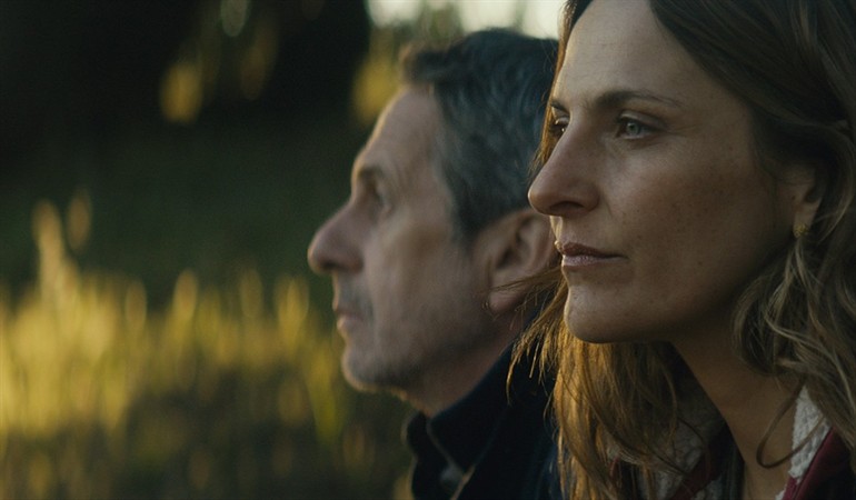 los perros premio goya