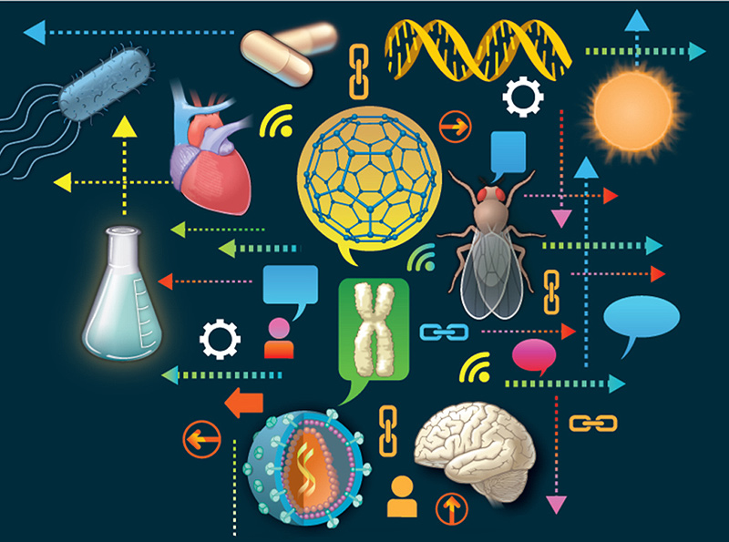 buy the nature of supply chain management research insights from a content