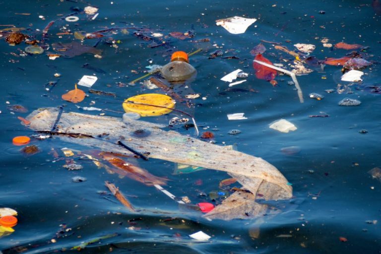 polucion plasticos oceanos