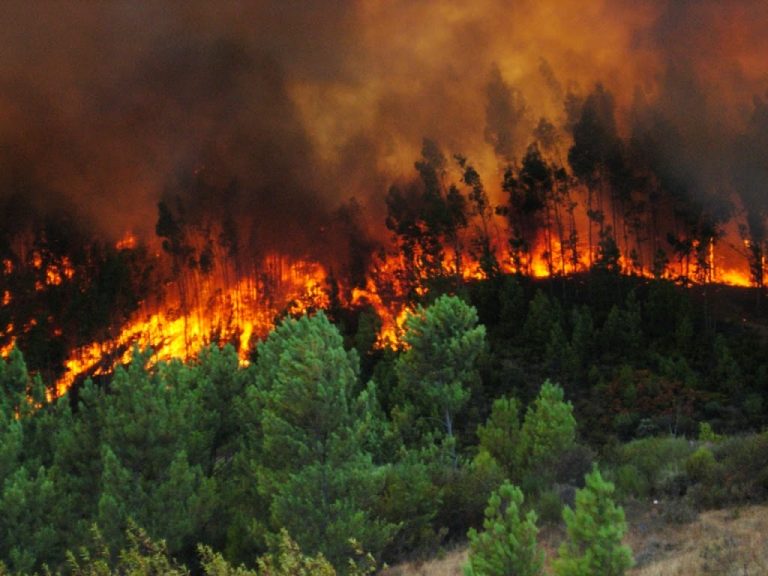 incendio-forestal