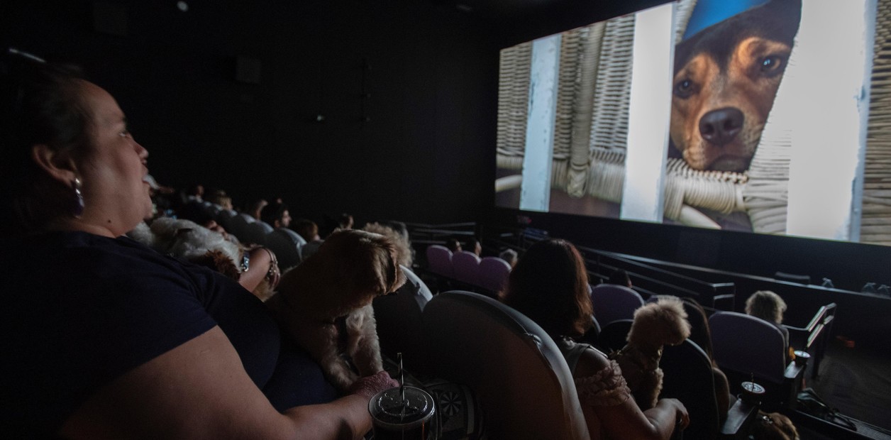 perros cine