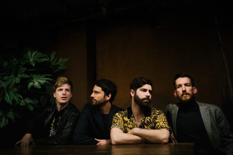 Foals