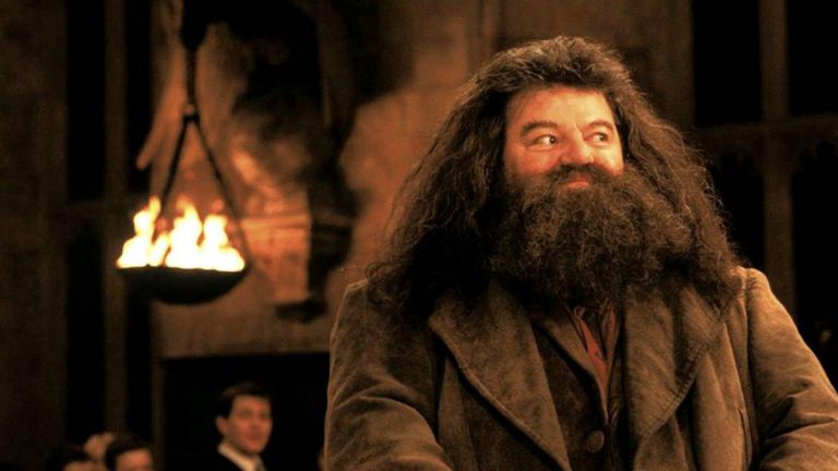 Hagrid Harry Potter