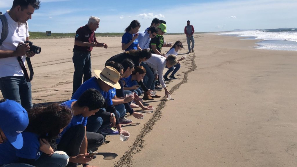 limpieza para balnearios
