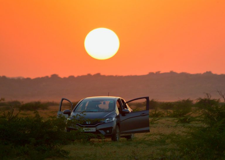 autocinema eclipse 2019 chile la higuera