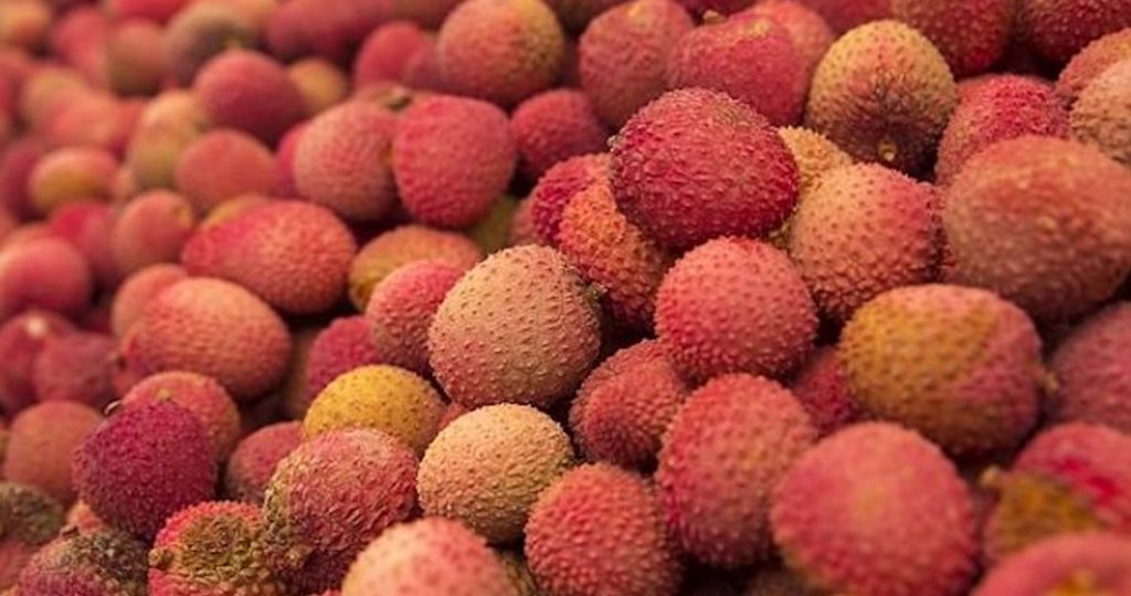 lichi encefaleas agudas