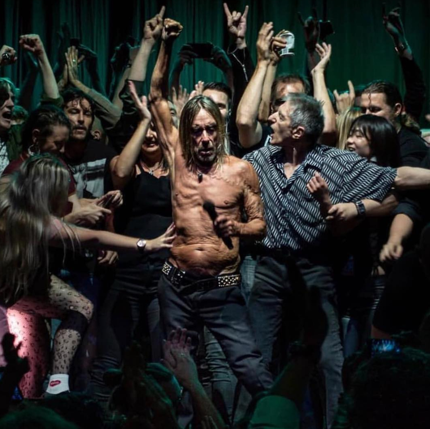 iggy pop nuevo disco 2019