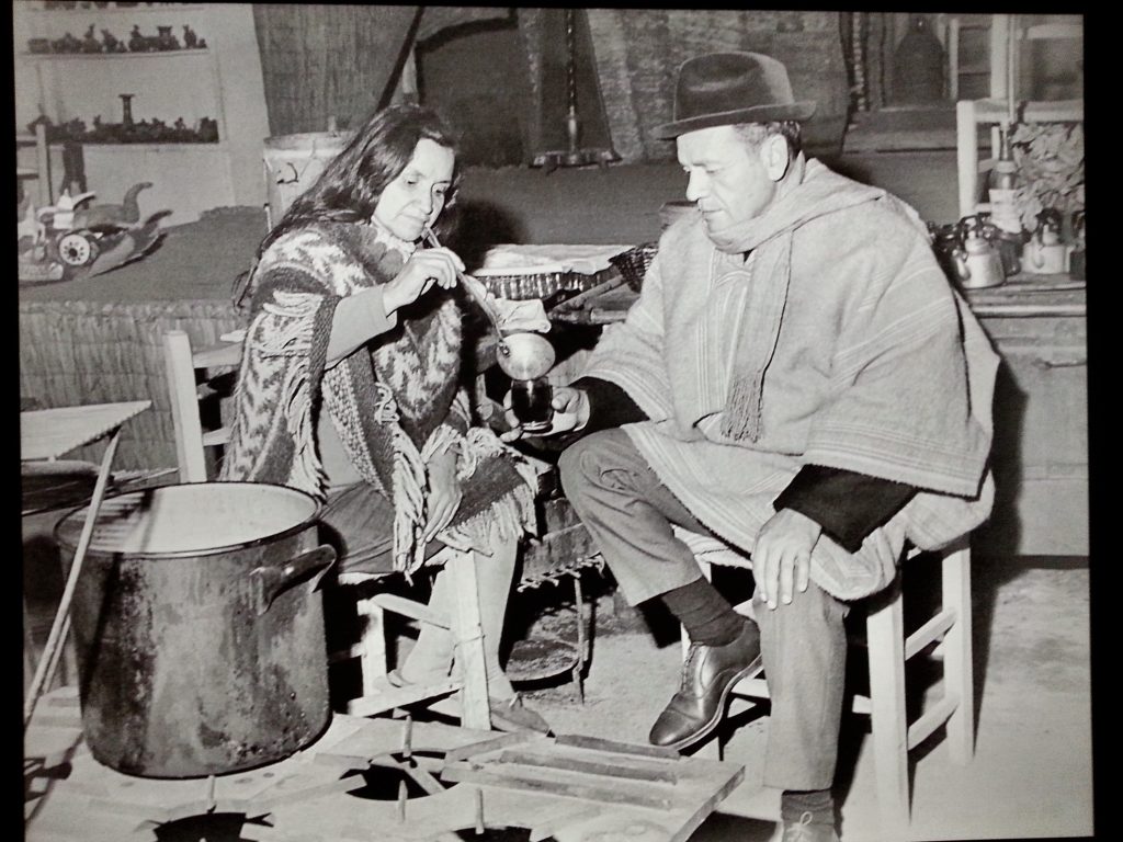 violeta parra carta suicidio 3