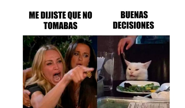 Resultado de imagen para meme gato me prometiste