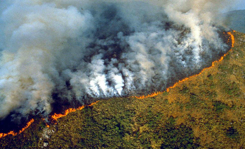 incendio amazonas