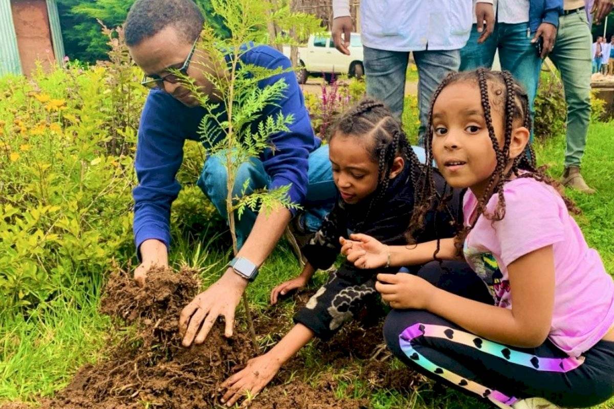 Etiopia record árboles