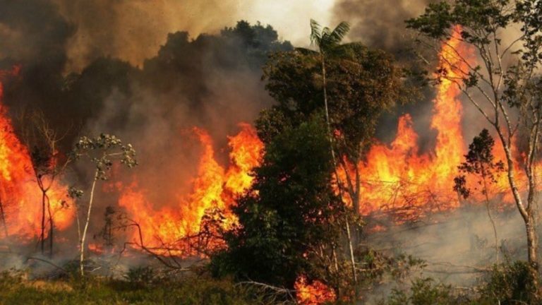 protestas por incendio amazonas