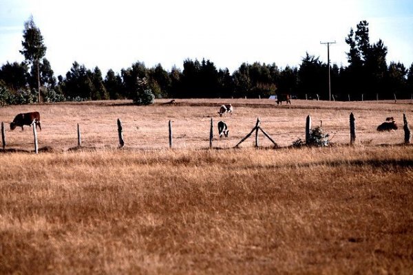 Emergencia agrícola RM