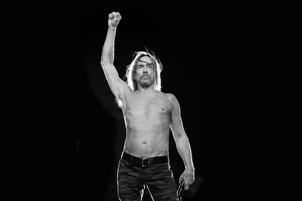 iggy pop