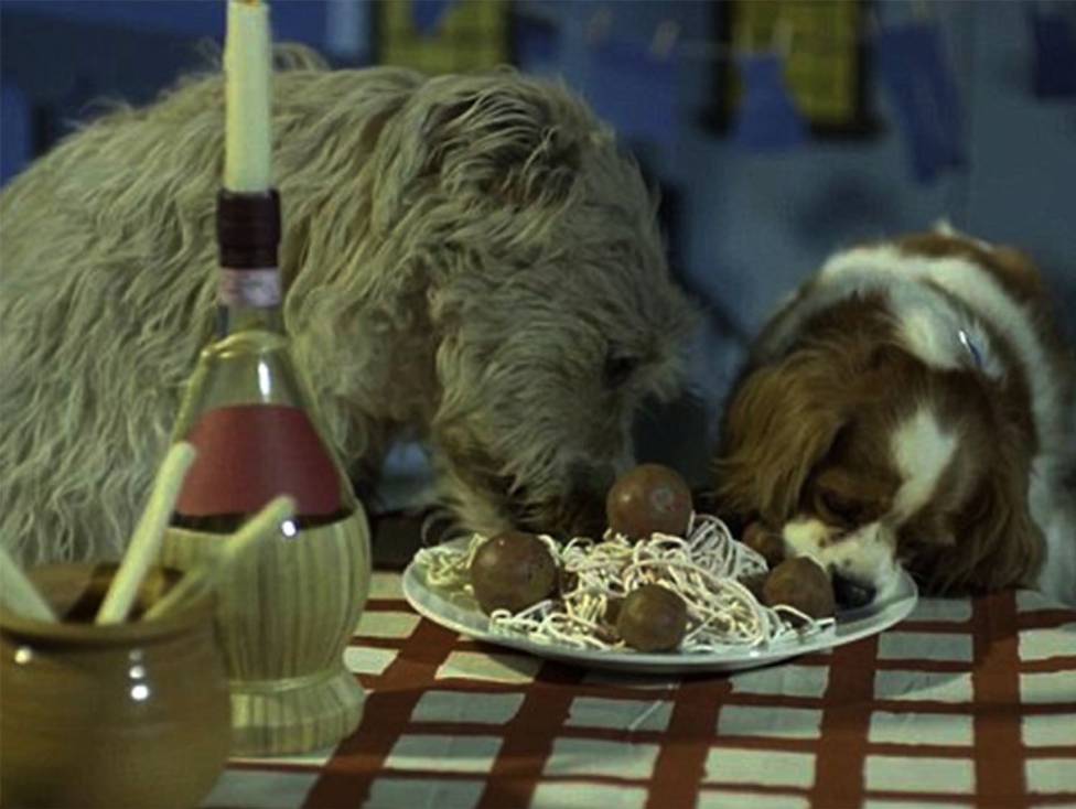 la dama y el vagabundo