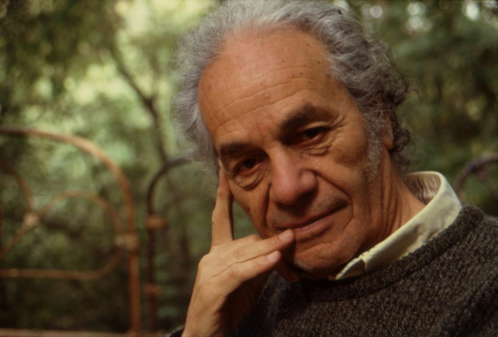 nicanor parra documental