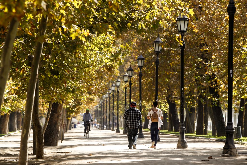 parque forestal linea metro