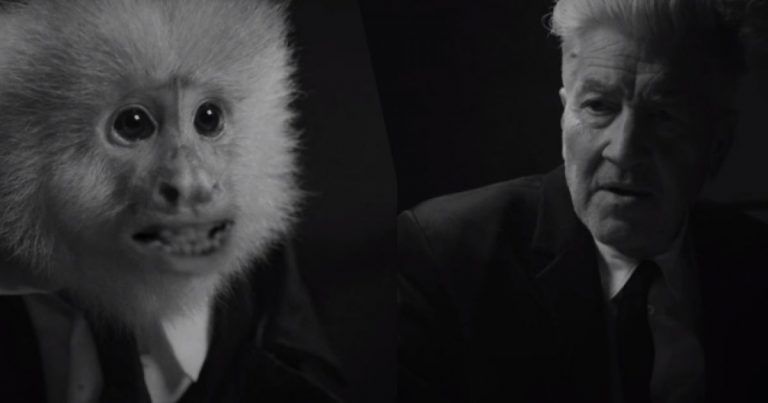 David Lynch está de cumpleaños y celebra subiendo material a Netflix