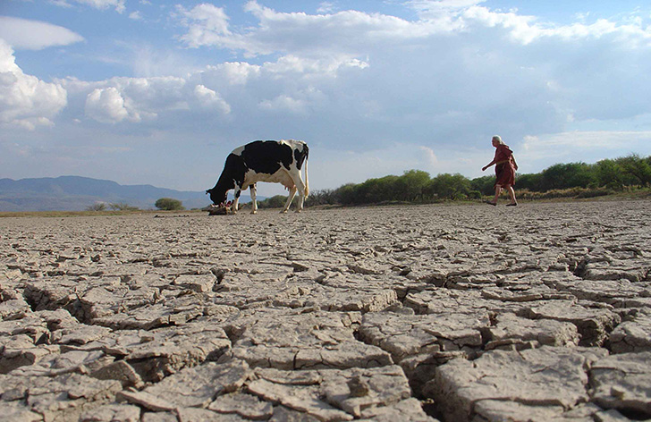 Greenpeace critica al Senado por rechazar proyecto sobre el uso de agua