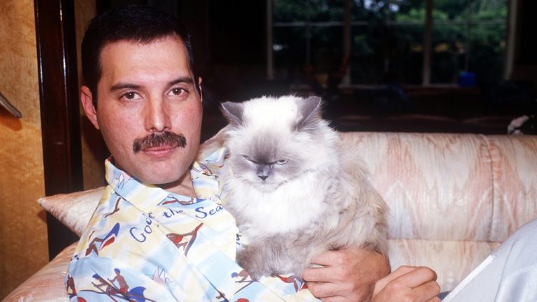 Freddie MErcury