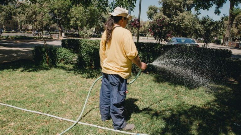 Ordenanza municipal de Providencia multará a quienes rieguen la calle