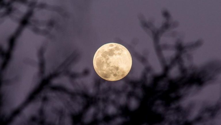 No te pierdas la última superluna observable del año