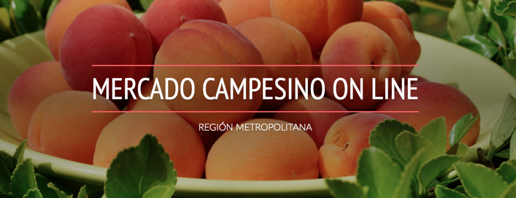 Mercado campesino online