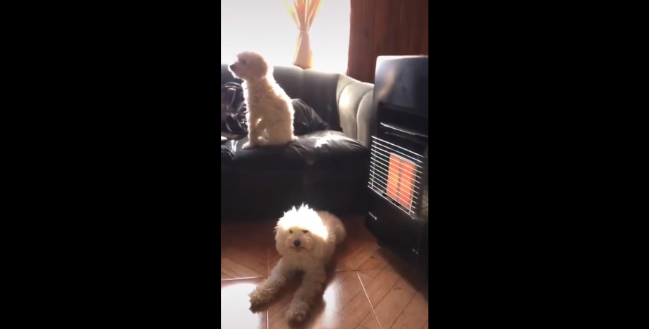 blanca se esta quemando