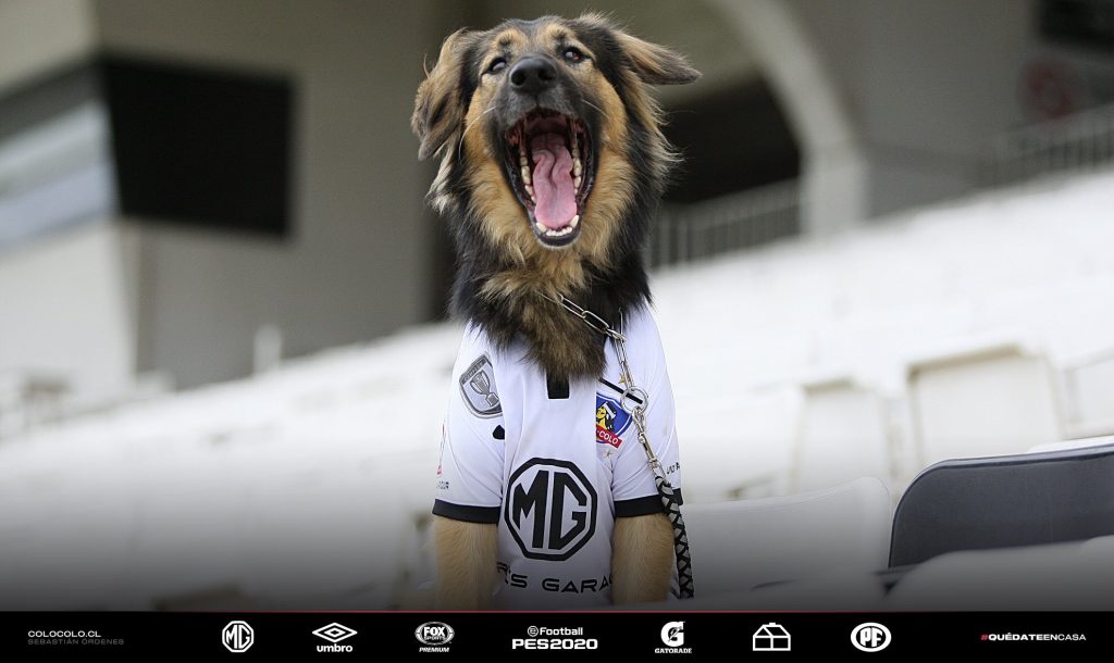 capitan colo colo