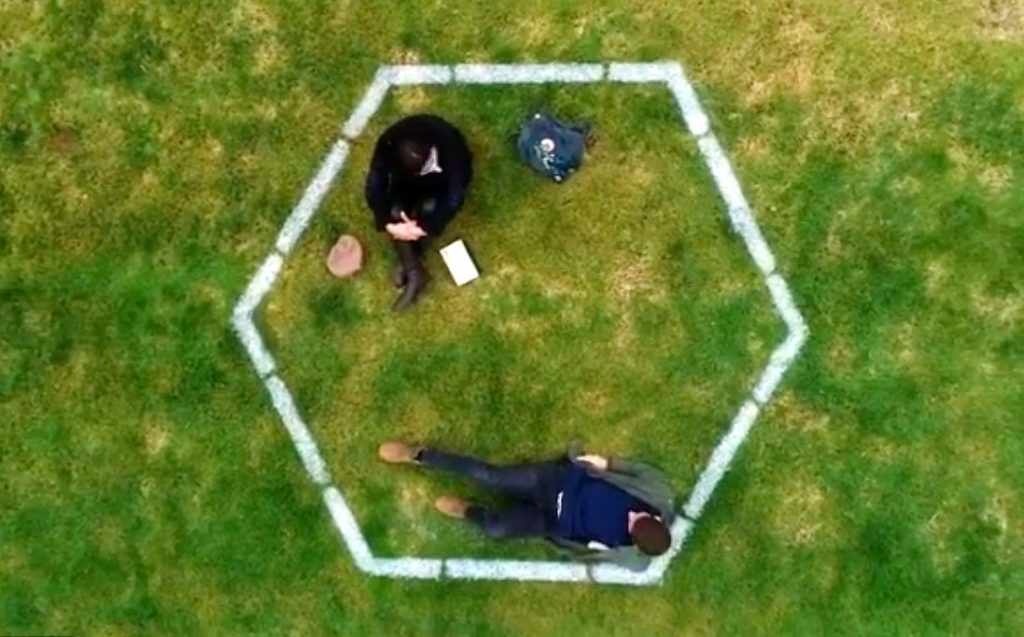 parque araucano apertura