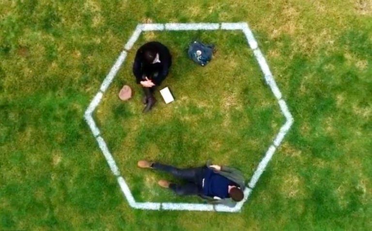 parque araucano apertura