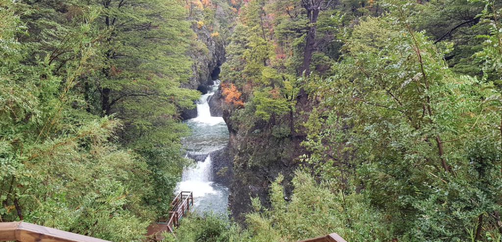parques bicentenarios