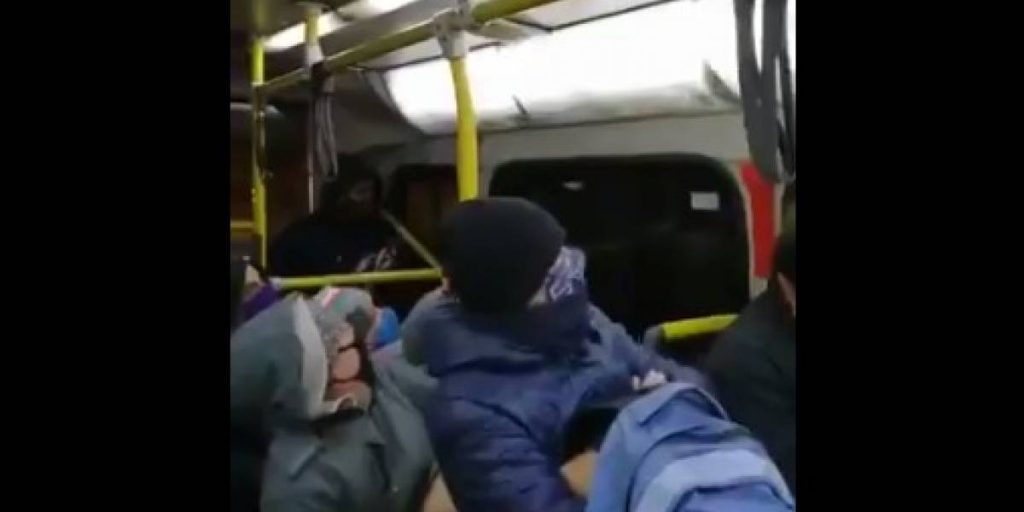 raton transantiago micro 2020