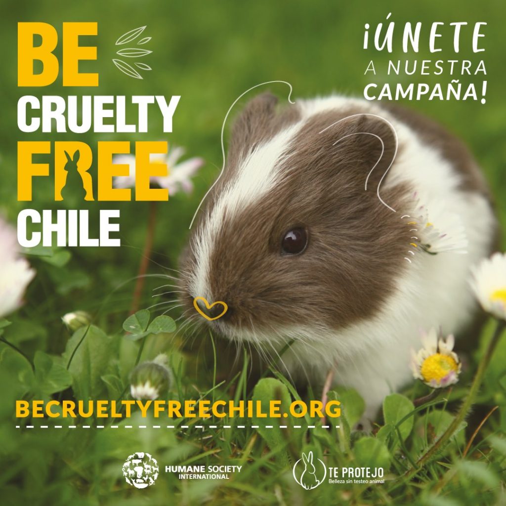 be cruelty free