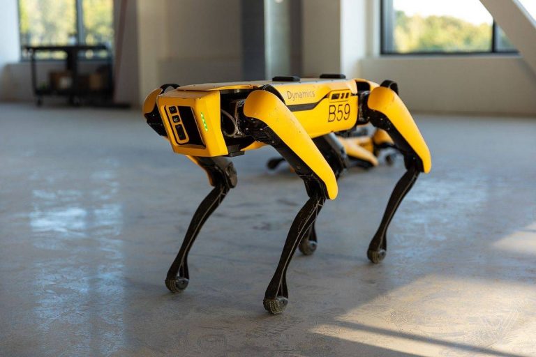 perro robot