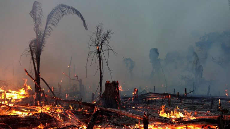 incendios amazonas 20202