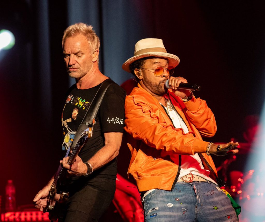 shaggy y sting
