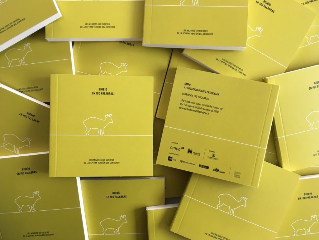 Bío Bío en 100 Palabras