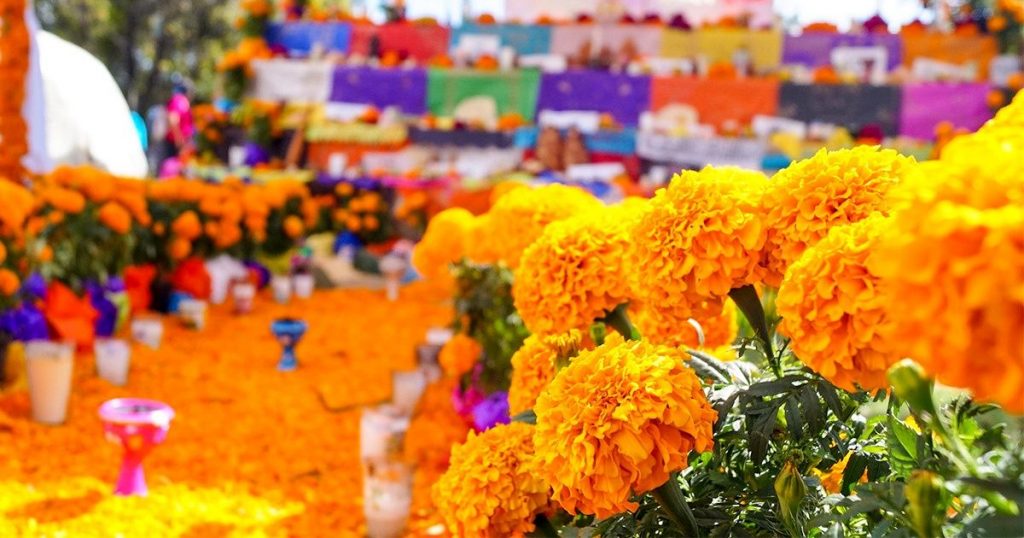 ofrenda infinita mexico