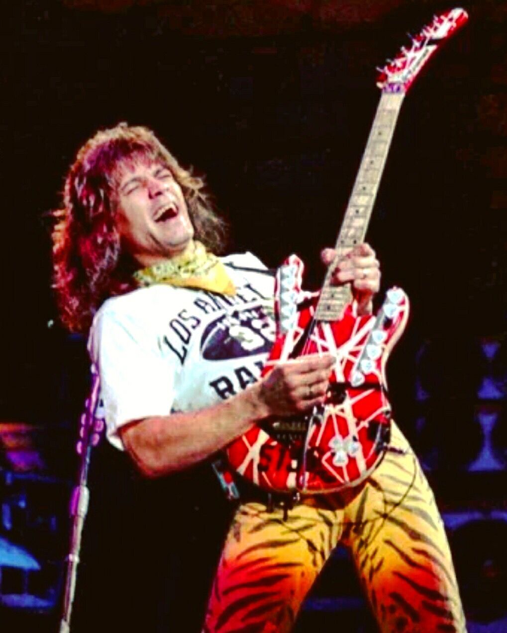 Eddie Van Halen El rey de los solos de guitarra — Rock&Pop