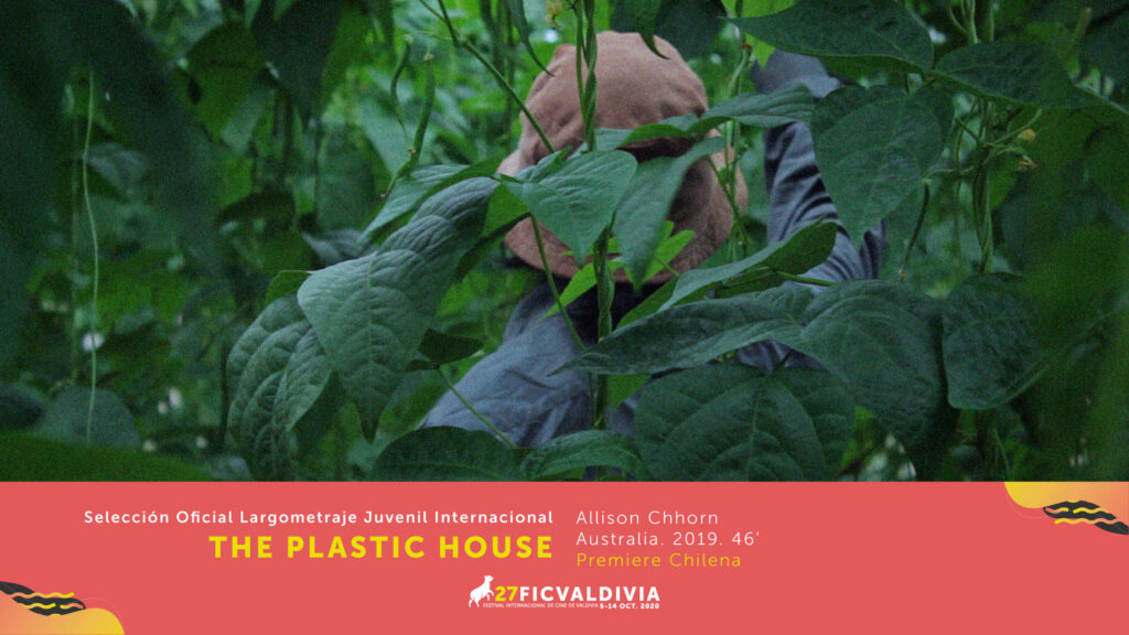 festival de cine de valdivid 2020