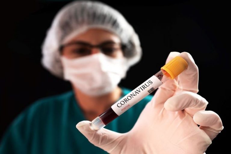 nuevos casos covid 24 diciembre