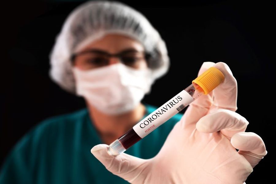 nuevos casos covid 24 diciembre