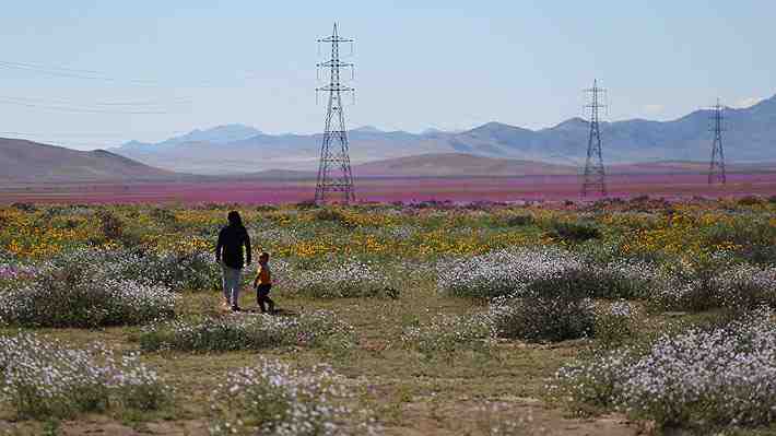 Empresa eléctrica construyó torres de alta tensión en el Desierto Florido