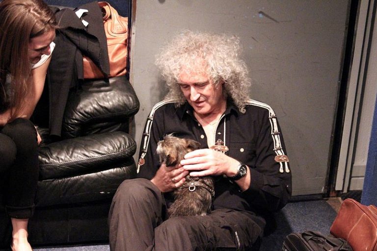 brian may